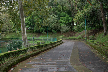 Quiet Pathway in Los Lagos Park, Xalapa, Veracruz, Mexico