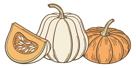 Pumpkin Set – Realistic Vector PNGs, Transparent Background