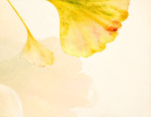 Delicate Silhouette of a Falling Petal Framed in Soft Dusty Light