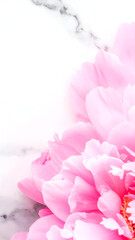 Delicate Rose Petals Scattered on Chilled Marble Background