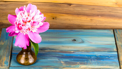 Pink Flower Bloom Resting on Smooth Wooden Surface with Drawer Knob