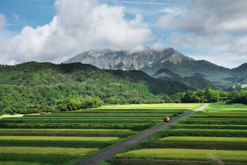 鳥取県の秋の伯耆大山と麓に広がる稲の棚田