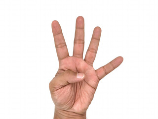 Hand showing four fingers. On white background. adult men hand