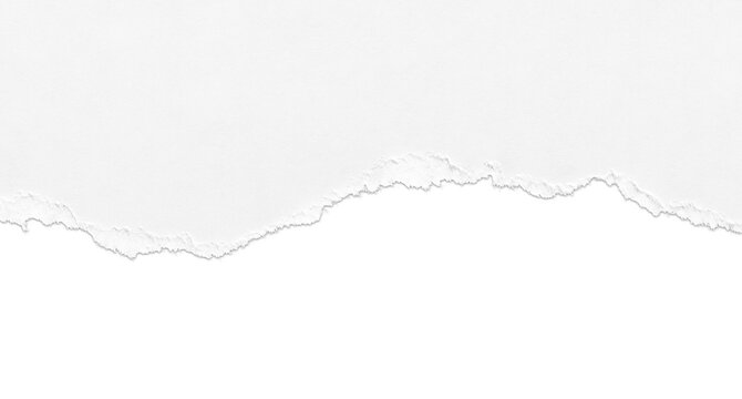 Torn white paper border with drop shadow isolated on background
