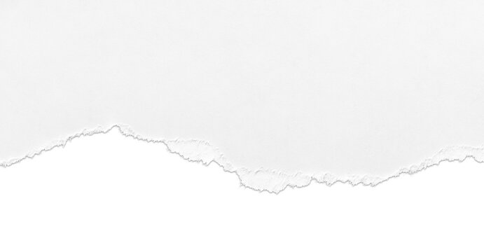 Torn white paper border with drop shadow isolated on background
