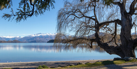 Lake Wanaka panoramic view, South Island, New Zealand