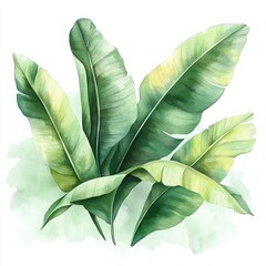 Obraz premium Bright green tropical leaves with various shades and realistic textures on a soft watercolor background