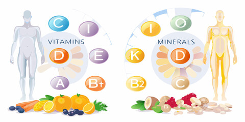 Human body diagram illustrating essential vitamins and minerals with associated food sources for healthy nutrition