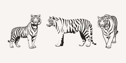 Tiger cartoon isolated on white