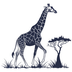 Silhouette of a giraffe walking through the african savanna with a baobab tree and tall grass, the giraffes coat is patterned with polygonal spots © NAHID 
