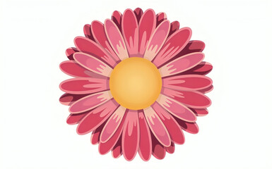 Pink gerber daisy flower isolated on white background