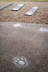 Easter bunny foot prints in a backyard