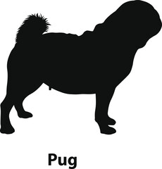 Pug silhouette vector, wrinkled toy dog with curled tail, solid black outline in flat minimal style, pet icon