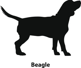 Beagle dog silhouette vector, active hound profile with raised tail, clean black outline, minimal flat style