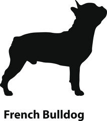 French Bulldog silhouette vector, compact companion dog profile with bat ears, solid black shape, modern minimal style