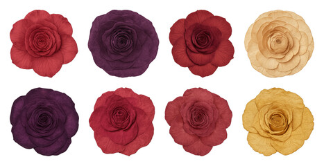 Colorful roses arranged beautifully.