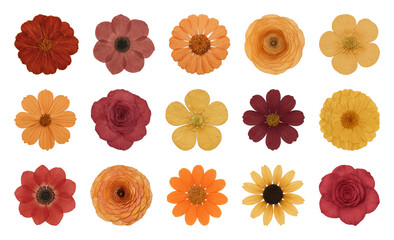 Colorful floral pattern collection