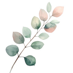 Elegant Eucalyptus Branch Isolated On White Background: Delicate watercolor artwork of an eucalyptus branch, showcasing soft, muted tones of green, pink. 