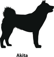 Akita silhouette vector with curled tail in strong northern dog style for signage and badges