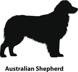 Australian shepherd herding dog silhouette with full coat for ranch branding and outdoor gear