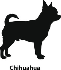 Chihuahua dog compact silhouette in simple flat style for pet shop branding and sticker packs
