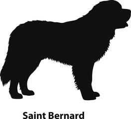 Saint bernard rescue dog silhouette in gentle giant profile for alpine themes and team apparel