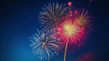 A vibrant display of fireworks illuminates the night sky, creating a magical and festive atmosphere, perfect for celebrations and special events