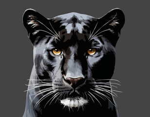 panther vector image with high detail and realistic