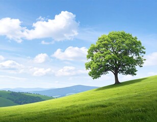 Lush green landscape with a solitary tree