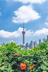 The Oriental Pearl Tower under a blue sky with white clouds, and the orange climbing jasmine flowers.