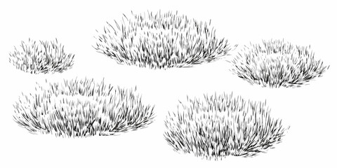 Five hand drawn clumps of grass in varying sizes and densities in black and white on a white background | editable eps vectors silhouette