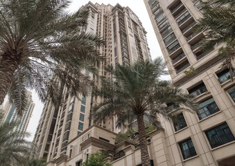 Low-angle view of tall beige buildings flanked by palm trees