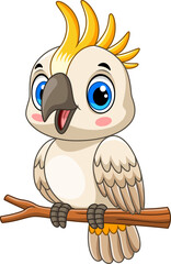 Illustration of Cartoon happy little cockatoo bird perched on tree branch 