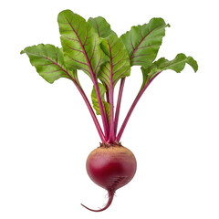 A single raw beet with green leaves and red stem, isolated on transparent background