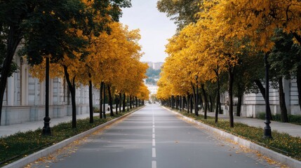 Serene Autumn Avenue with Vibrant Yellow Trees Framing a Calm Road in a Picturesque Urban Environment