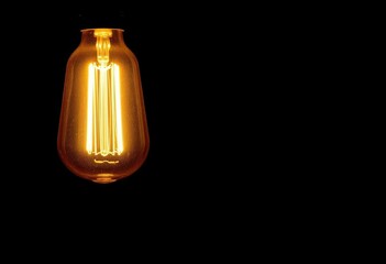 Vintage Edison bulb glowing softly against a stark black backdrop,  studio shot,  low energy