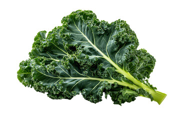 a bunch of green leafy vegetables on a white surface