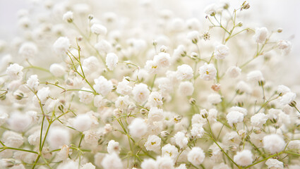 Soft focus bloom of delicate white and pink flowers gentle natural light wedding floral