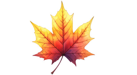 Watercolor Autumnal Maple Leaf isolated on black background