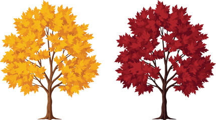 Autumn maple tree illustration with yellow leaves, fall season foliage design, red leaf forest nature background, seasonal landscape outdoor drawing