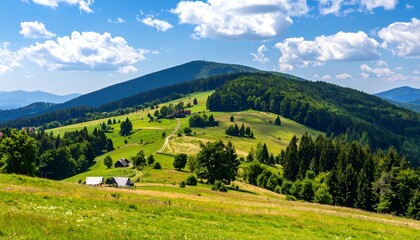 Obraz premium Lush mountain meadow panorama