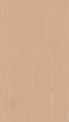 Fototapeta premium Soft natural light wood grain texture background, showcasing delicate patterns perfect for elegant interior design, serene minimalist aesthetics, and warm architectural elements