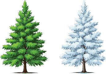 Evergreen pine tree illustration with lush green foliage and snowy winter version, seasonal nature design, forest landscape, environmental growth concept, holiday background