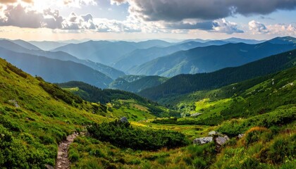 Obraz premium Overhead Bright Red Crayfish Seafood on White Plate Culinary Food Photography Cinematic Style