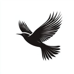 Obraz premium stylized black silhouette of a bird in mid-flight with detailed spread wings and tail feathers against a white background