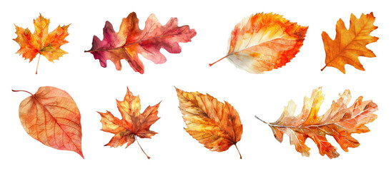 PNG Vibrant watercolor autumn leaves collection, element set on transparent background
