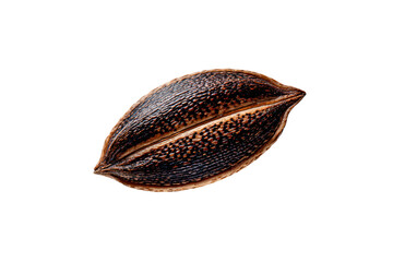 Fototapeta premium a seed of a plant on a white surface