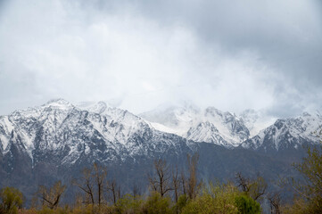 Majestic snow-capped Himalayan hill under a serene winter sky, showcasing natural beauty, mountain landscape, wilderness, and pristine travel destination for nature and adventure lovers.