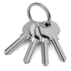 A group of metallic keys with a ring