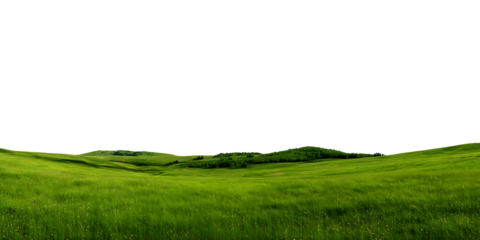 Green Grass Field with Hills Isolated on Transparent Background